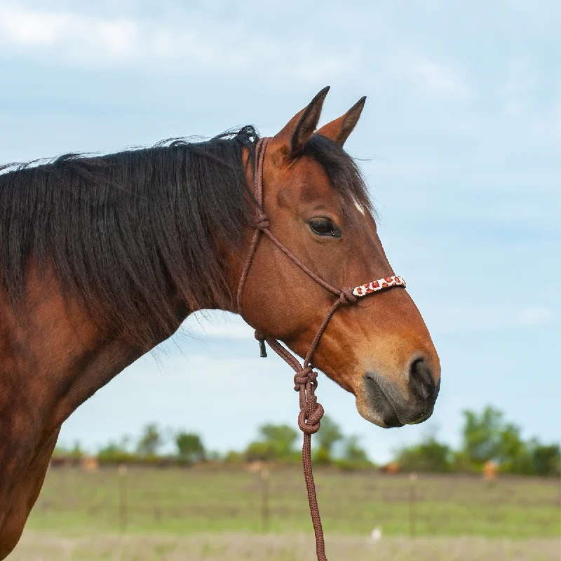 Beaded Rope Halter with Leadrope - Brown