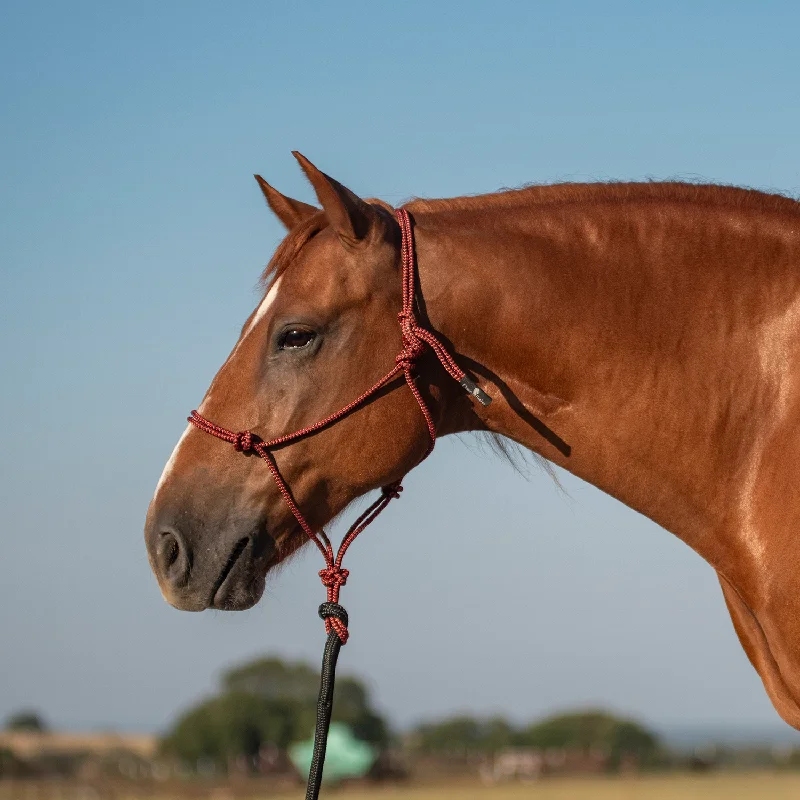 Rope Halter and 9-foot Leadrope