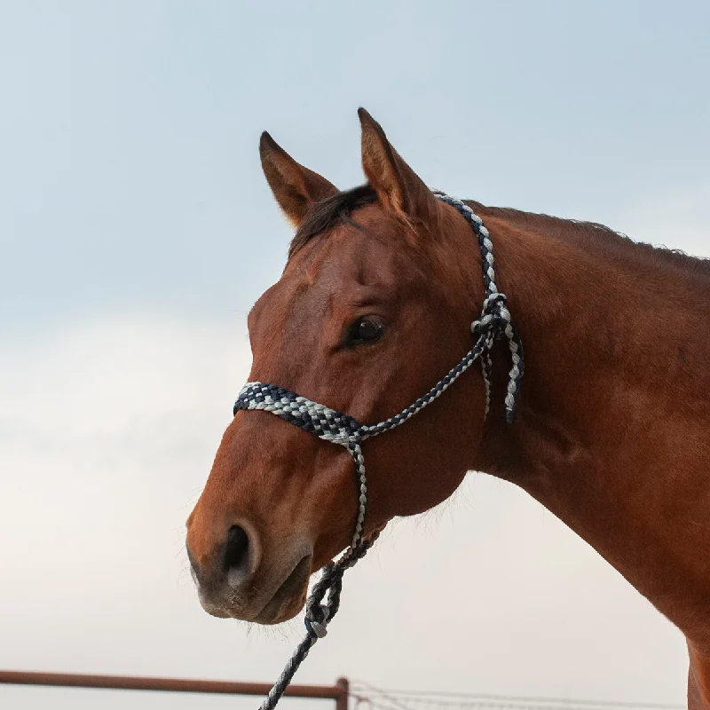 Flat Braid Halter and Leadrope - Navy / Grey