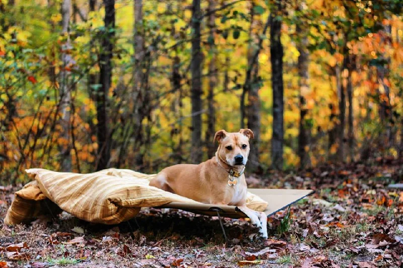 Climbing Bags thud-safe-Climbing-bags-with-easy-loading-design-K9-KOT™ Dog Camping Cot w/ Carrying Bag